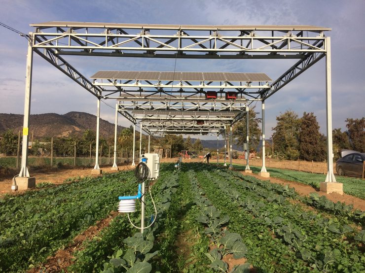 Agrophotovoltaik in Chile