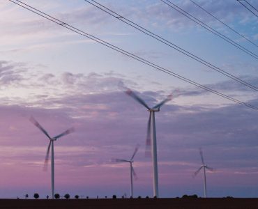 Windkraftturbinen und Ueberlandleitungen im Morgenlicht