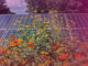 Biodiv-PV