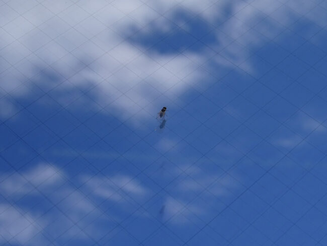 Die Strukturierung auf der Low-E-Beschichtung für das funktransparente Isolierglas.